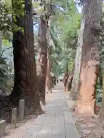 日吉神社の{uncategorized: "未分類", other: "その他", undefined: "問題あり", building: "その他建物", grave: "お墓", sacred_gate: "鳥居", guardian: "狛犬", statue: "像", buddha: "仏像", history: "歴史", nature: "自然", garden: "庭園", animal: "動物", pagoda: "塔", temizu: "手水舎", mountain_gate: "山門・神門", sanctuary: "本殿・本堂", subordinate: "末社・摂社", art: "芸術", scenery: "景色", jizo: "地蔵", ema: "絵馬", goshuin: "御朱印", omikuji: "おみくじ", items: "授与品その他", amulet: "お守り", goshuincho: "御朱印帳", eats: "食事", festival: "お祭り", votive_dance: "神楽", shichigosan: "七五三参", wedding: "結婚式", experience: "体験その他", initially: "初詣", around: "周辺", anti_infection: "感染症対策"}