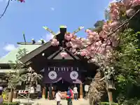 東京大神宮(東京都)