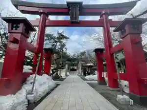 彌彦神社 (伊夜日子神社)の鳥居(2024年04月01日(月) 09時17分59秒投稿)