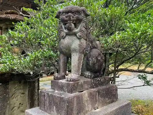 椙尾神社の狛犬