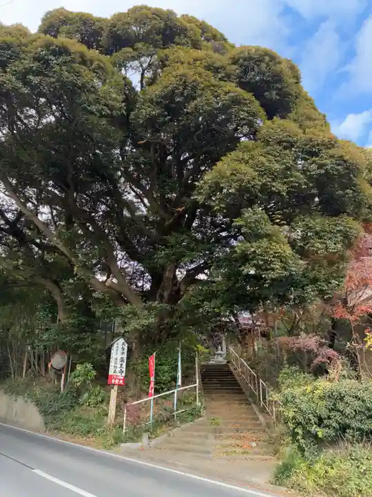 薬王寺(千葉県)