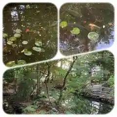 白石神社の庭園