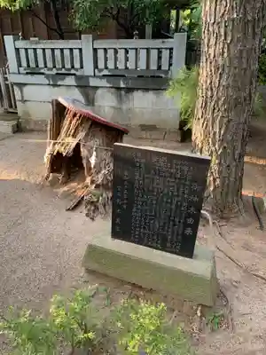白幡天神社(千葉県)