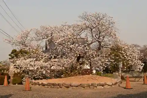 実報寺(愛媛県)