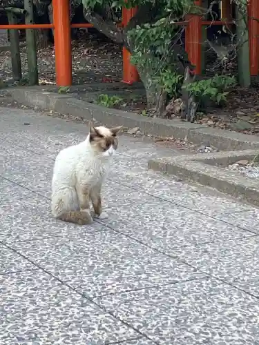 息栖神社(茨城県)