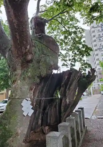 阿邪訶根神社の自然