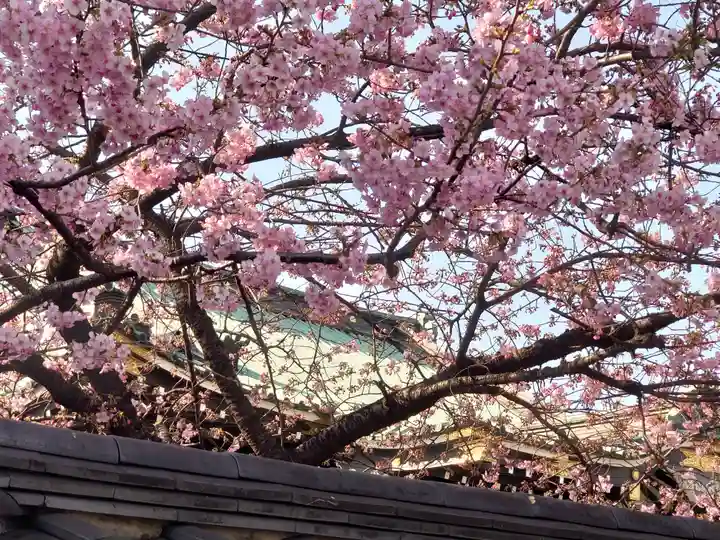 宗仲寺(神奈川県)