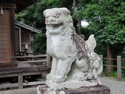 三島神社の狛犬