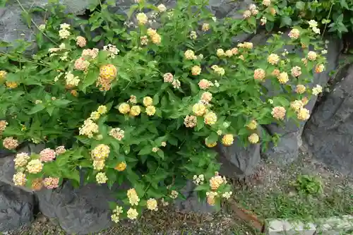 三輪神社の自然