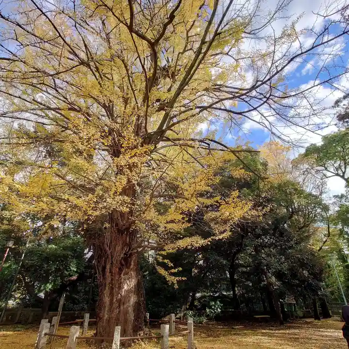 赤坂氷川神社(東京都)