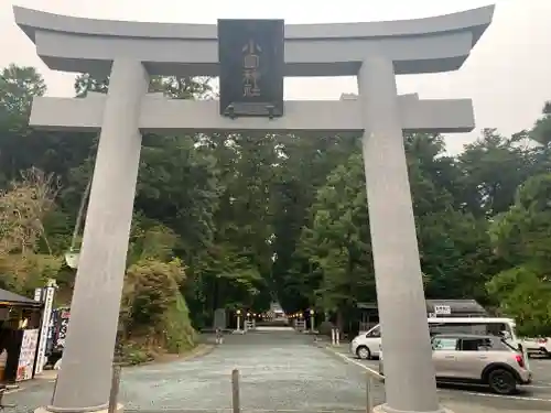 小國神社の鳥居