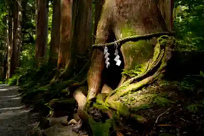 戸隠神社奥社(長野県)