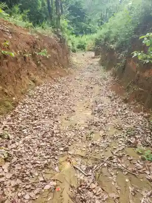 賀茂別雷神社(栃木県)