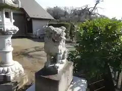 上根神社の狛犬