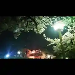 尾張大國霊神社（国府宮）の自然