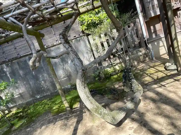 意富比神社の自然