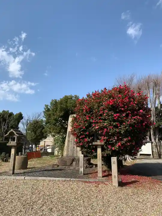 姫嶋神社の自然