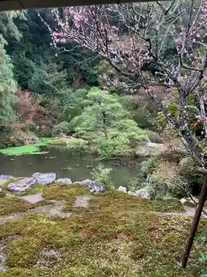 本興寺(静岡県)