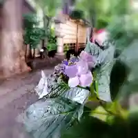 戸越八幡神社の自然