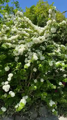 吉祥草寺(奈良県)