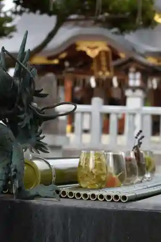 美瑛神社の手水