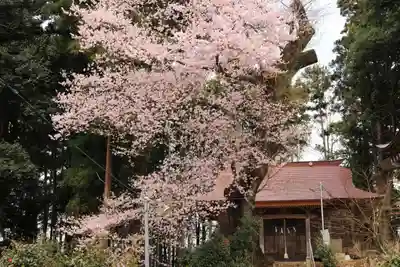 菅布禰神社の自然