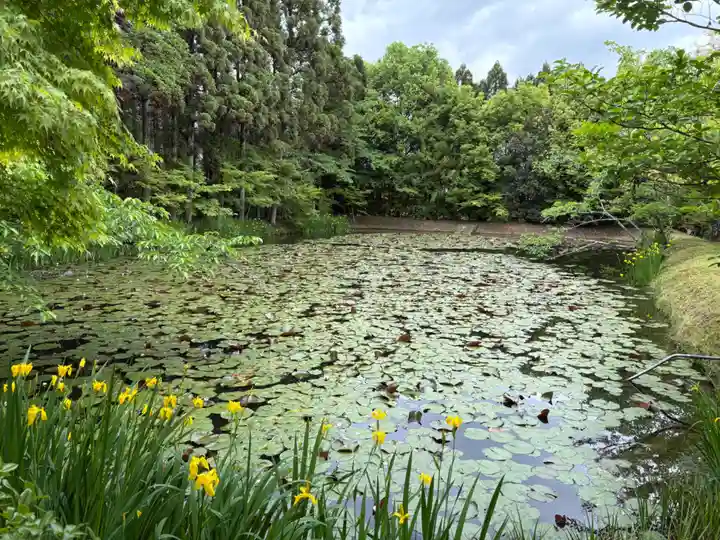 酬恩庵一休寺(京都府)