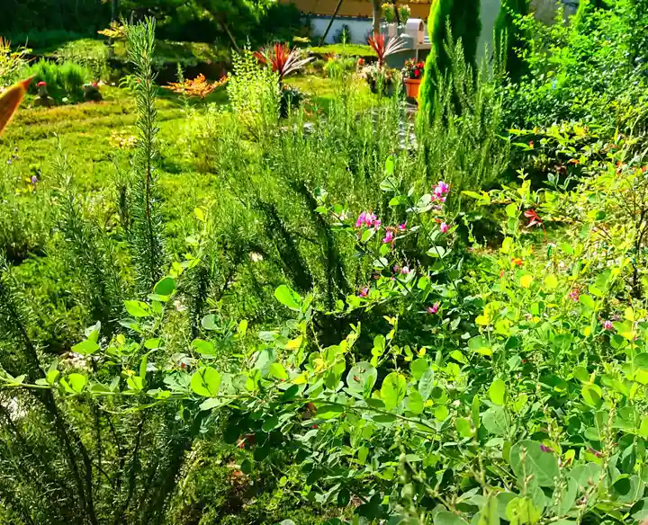 寿量山 速成寺の自然