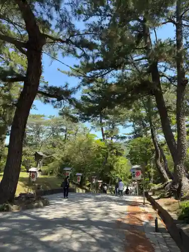 出雲大社(島根県)