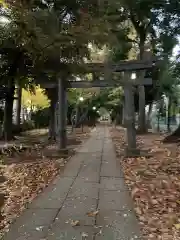 八雲氷川神社(東京都)