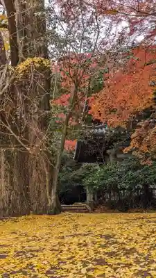 観音寺（山崎聖天）(京都府)