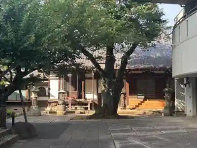 観明寺(東京都)