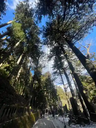 榛名神社(群馬県)