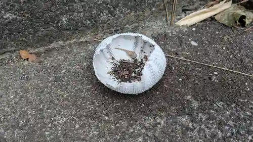 稲荷神社の動物