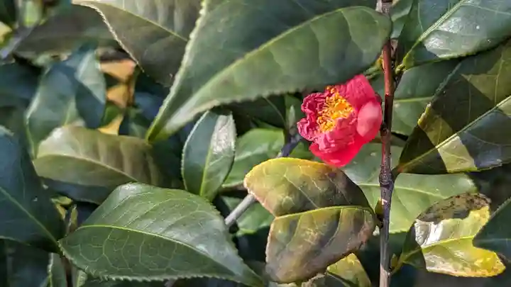 勝林寺(京都府)