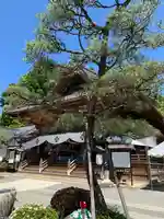 座光如来寺(元善光寺)の本殿・本堂