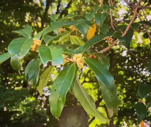 神炊館神社 ⁂奥州須賀川総鎮守⁂の御朱印