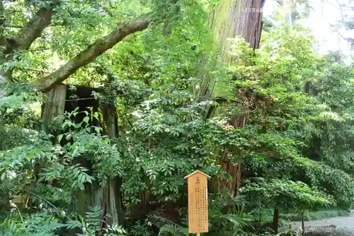 香取神宮(千葉県)