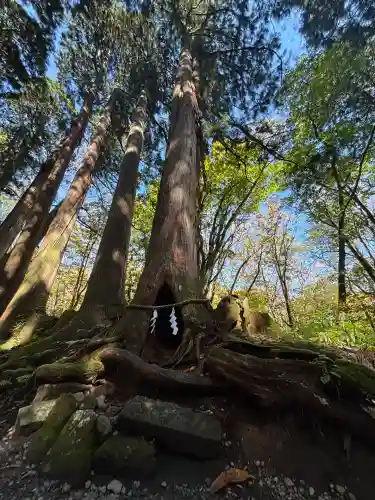 戸隠神社奥社(長野県)