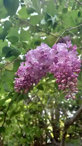 相馬神社(北海道)