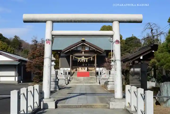 箱付き　天照皇大神 荒木田神主/男爵/荒木田泰圀/天照皇大神/杉共箱付/布袋屋掛軸HH