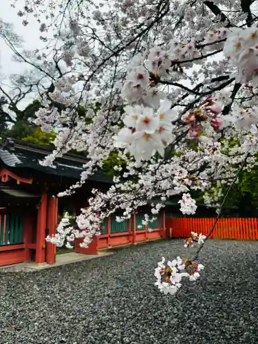 富士山本宮浅間大社の{uncategorized: "未分類", other: "その他", undefined: "問題あり", building: "その他建物", grave: "お墓", sacred_gate: "鳥居", guardian: "狛犬", statue: "像", buddha: "仏像", history: "歴史", nature: "自然", garden: "庭園", animal: "動物", pagoda: "塔", temizu: "手水舎", mountain_gate: "山門・神門", sanctuary: "本殿・本堂", subordinate: "末社・摂社", art: "芸術", scenery: "景色", jizo: "地蔵", ema: "絵馬", goshuin: "御朱印", omikuji: "おみくじ", items: "授与品その他", amulet: "お守り", goshuincho: "御朱印帳", eats: "食事", festival: "お祭り", votive_dance: "神楽", shichigosan: "七五三参", wedding: "結婚式", experience: "体験その他", initially: "初詣", around: "周辺", anti_infection: "感染症対策"}
