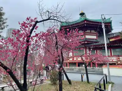 寛永寺不忍池弁天堂の{uncategorized: "未分類", other: "その他", undefined: "問題あり", building: "その他建物", grave: "お墓", sacred_gate: "鳥居", guardian: "狛犬", statue: "像", buddha: "仏像", history: "歴史", nature: "自然", garden: "庭園", animal: "動物", pagoda: "塔", temizu: "手水舎", mountain_gate: "山門・神門", sanctuary: "本殿・本堂", subordinate: "末社・摂社", art: "芸術", scenery: "景色", jizo: "地蔵", ema: "絵馬", goshuin: "御朱印", omikuji: "おみくじ", items: "授与品その他", amulet: "お守り", goshuincho: "御朱印帳", eats: "食事", festival: "お祭り", votive_dance: "神楽", shichigosan: "七五三参", wedding: "結婚式", experience: "体験その他", initially: "初詣", around: "周辺", anti_infection: "感染症対策"}