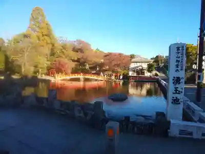 富士山本宮浅間大社(静岡県)