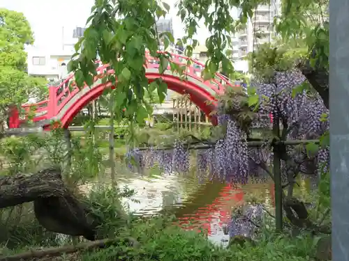 亀戸天神社の庭園