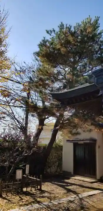 天豊受神社(埼玉県)