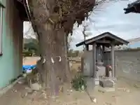 厳島神社の自然