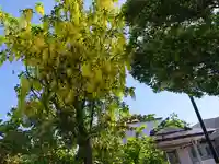 極楽山 浄土寺の自然