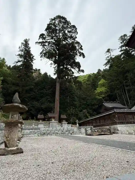 安志加茂神社の{uncategorized: "未分類", other: "その他", undefined: "問題あり", building: "その他建物", grave: "お墓", sacred_gate: "鳥居", guardian: "狛犬", statue: "像", buddha: "仏像", history: "歴史", nature: "自然", garden: "庭園", animal: "動物", pagoda: "塔", temizu: "手水舎", mountain_gate: "山門・神門", sanctuary: "本殿・本堂", subordinate: "末社・摂社", art: "芸術", scenery: "景色", jizo: "地蔵", ema: "絵馬", goshuin: "御朱印", omikuji: "おみくじ", items: "授与品その他", amulet: "お守り", goshuincho: "御朱印帳", eats: "食事", festival: "お祭り", votive_dance: "神楽", shichigosan: "七五三参", wedding: "結婚式", experience: "体験その他", initially: "初詣", around: "周辺", anti_infection: "感染症対策"}