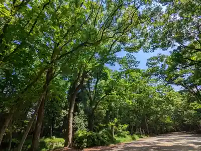 賀茂御祖神社（下鴨神社）(京都府)